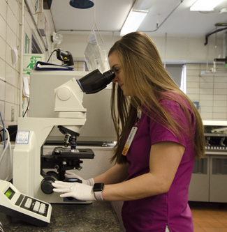 This is a picture of the laboratory staff